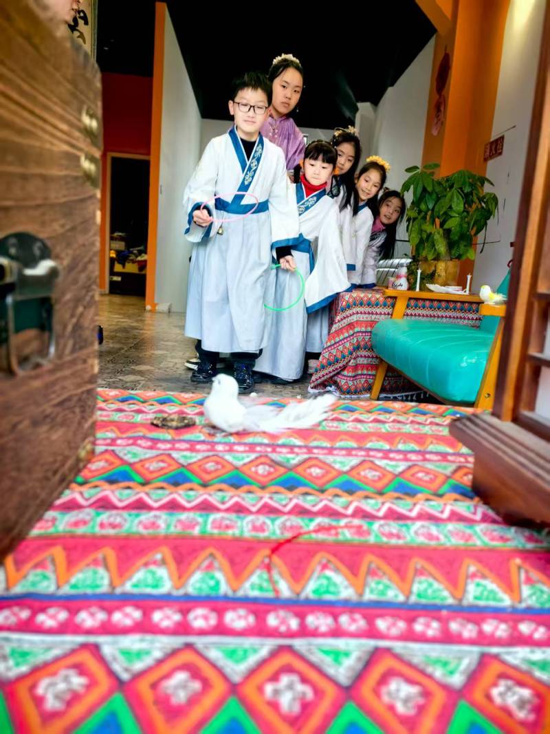 双柏县文旅项目策划